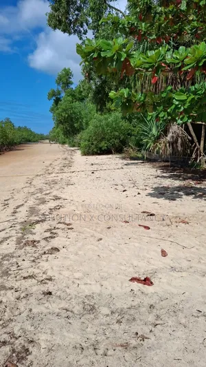 Beach Plot for Sale at Mafia Kilindoni
