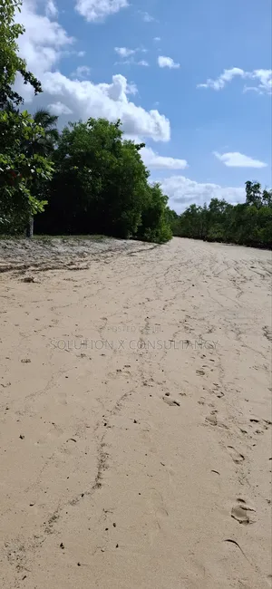 Beach Plot for Sale at Mafia Kilindoni