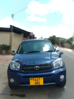 Toyota RAV4 2004 Blue