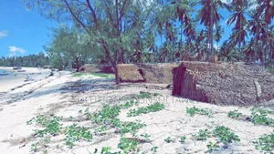 Beach Plot for Sale at Banja Mafia Island