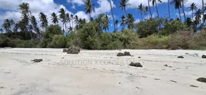 Beach Front for Sale at Mafia Island- Jojo