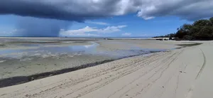 Beach Front for Sale at Mafia Island- Jojo