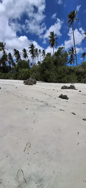 Beach Front for Sale at Mafia Island- Jojo