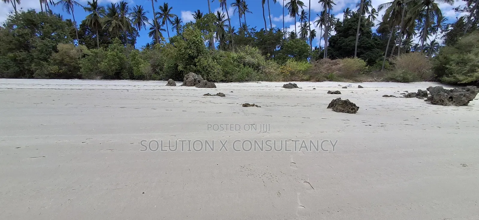 Beach Front for Sale at Mafia Island- Jojo