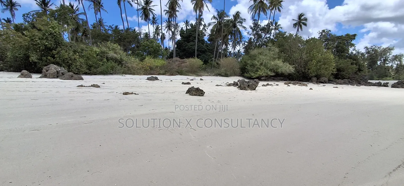 Beach Front for Sale at Mafia Island- Jojo