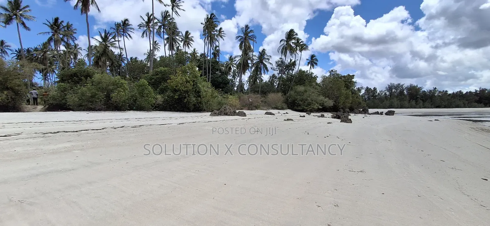 Beach Front for Sale at Mafia Island- Jojo