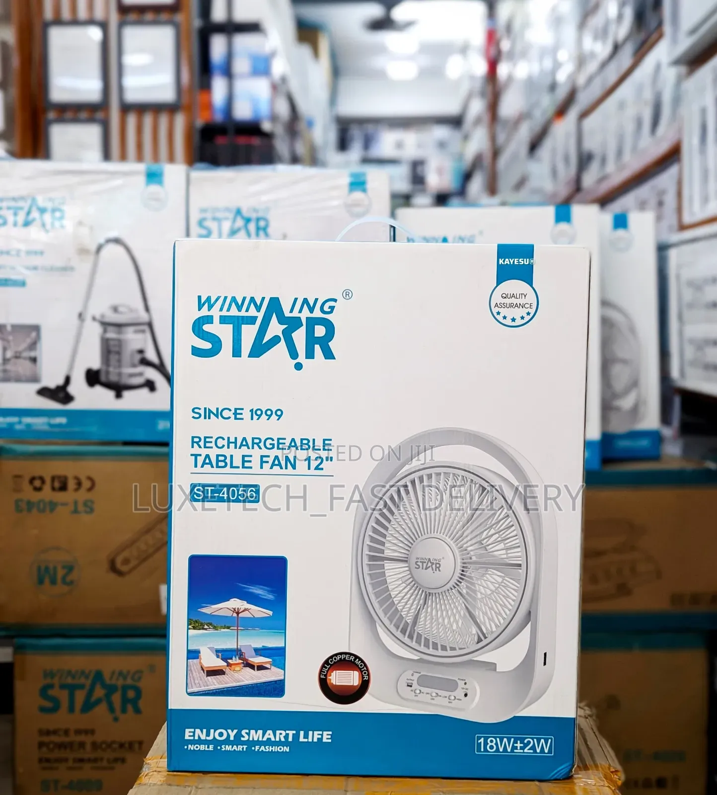 Winning Star Rechargeable Fan 12"