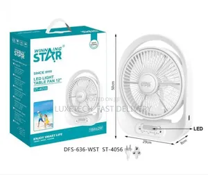 WINNING STAR 18W 12" Electric USB Table Fan