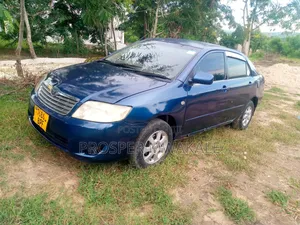Toyota Corolla 2005 Blue