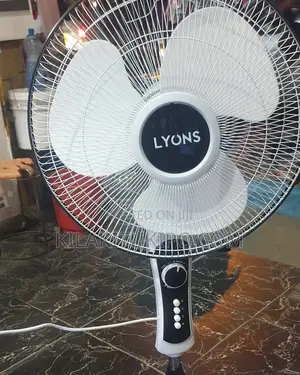 Lyons Standing Fan