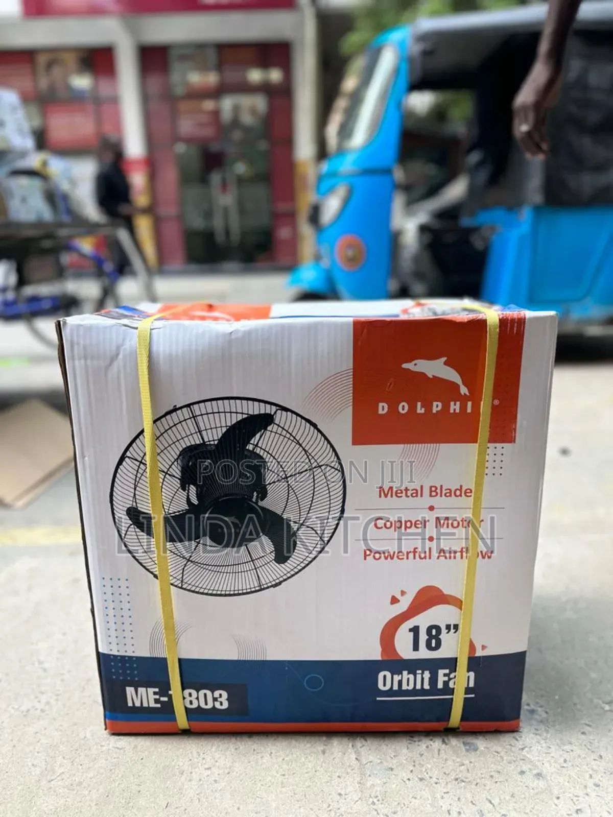 Dolphin Orbit Fan 18