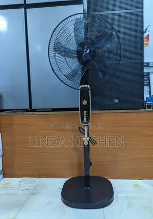 Dolphin Fan 18"