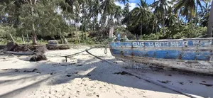 Beach Plot for Sale at Mafia Kitoni