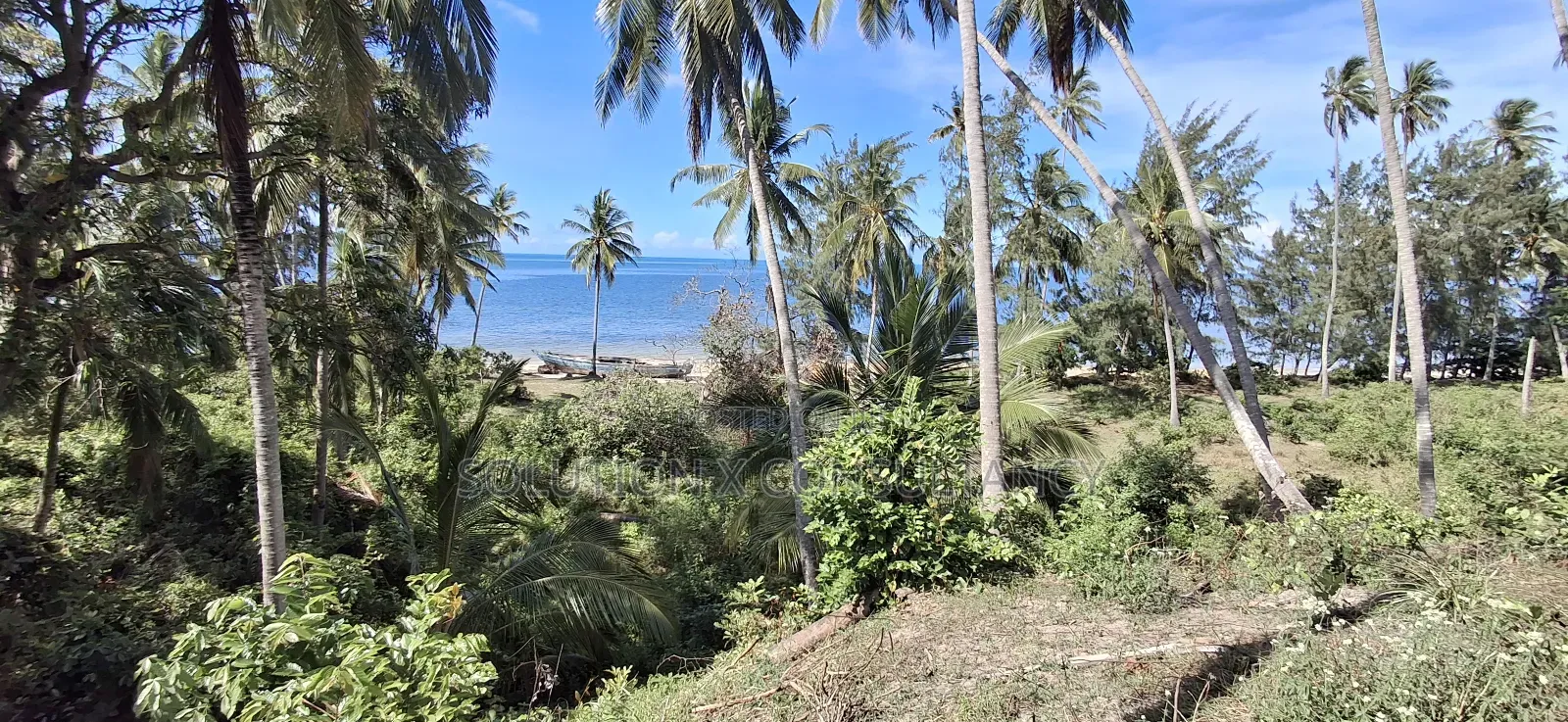 Beach Plot for Sale at Mafia Kitoni