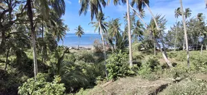 Beach Plot for Sale at Mafia Kitoni
