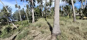 Beach Plot for Sale at Mafia Kitoni