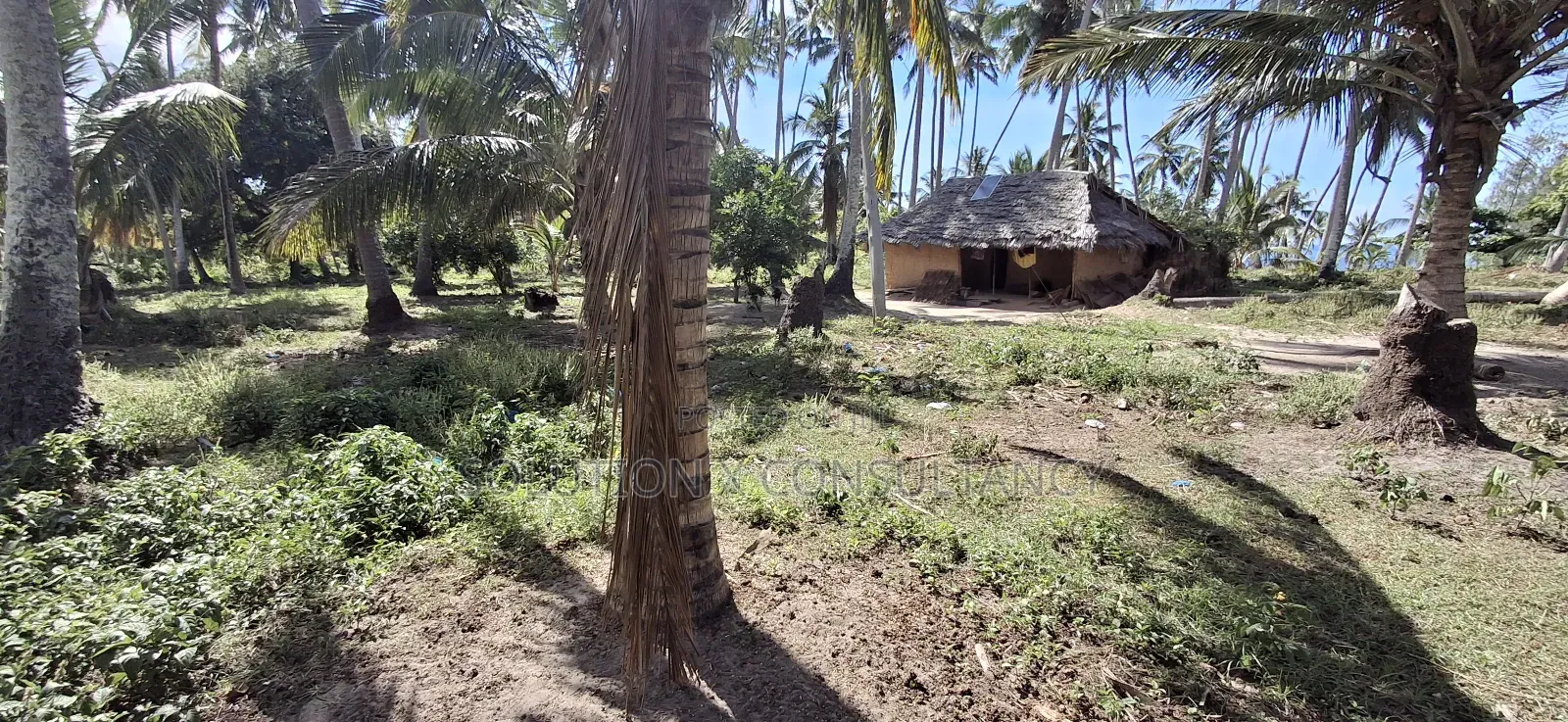 Beach Plot for Sale at Mafia Kitoni