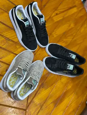 New PUMA Org