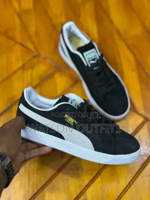New PUMA Org
