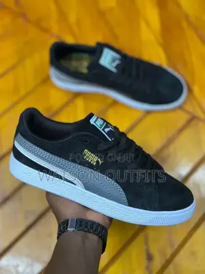 New PUMA Org