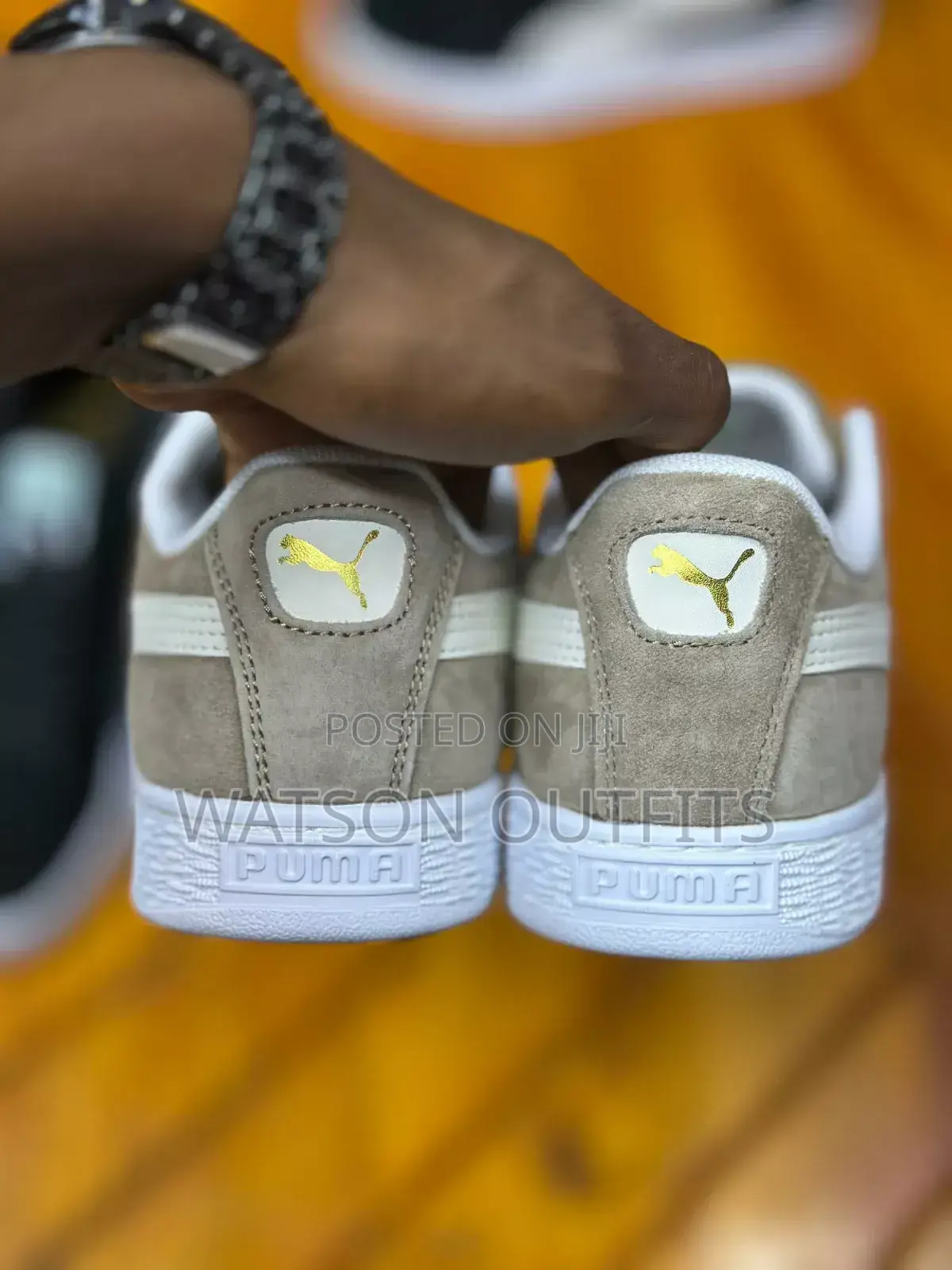 New PUMA Org