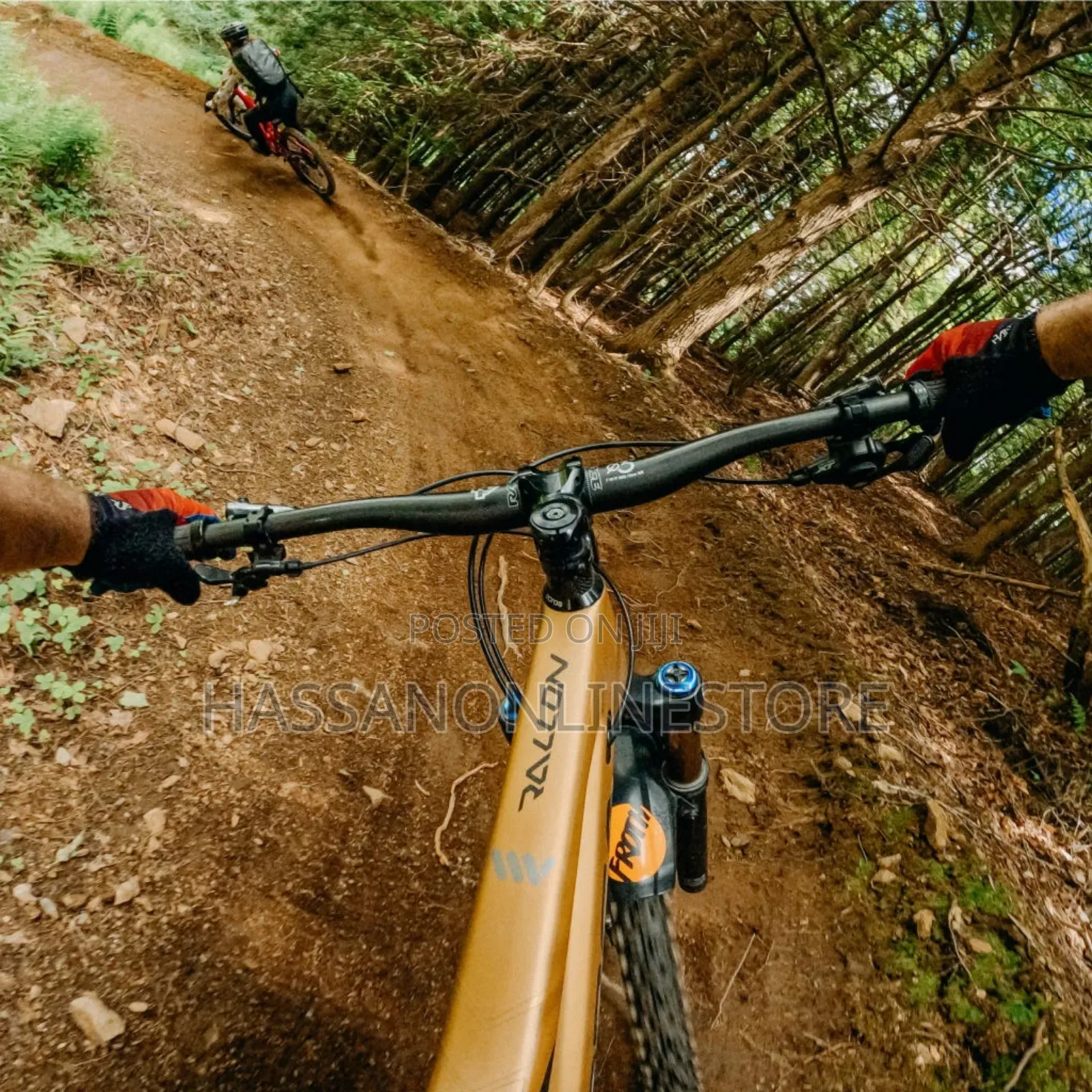 Gopro Chesty (Performance Chest Mount)