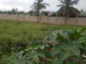 A Big Residential Plot at Wazo Kontena for Sale.