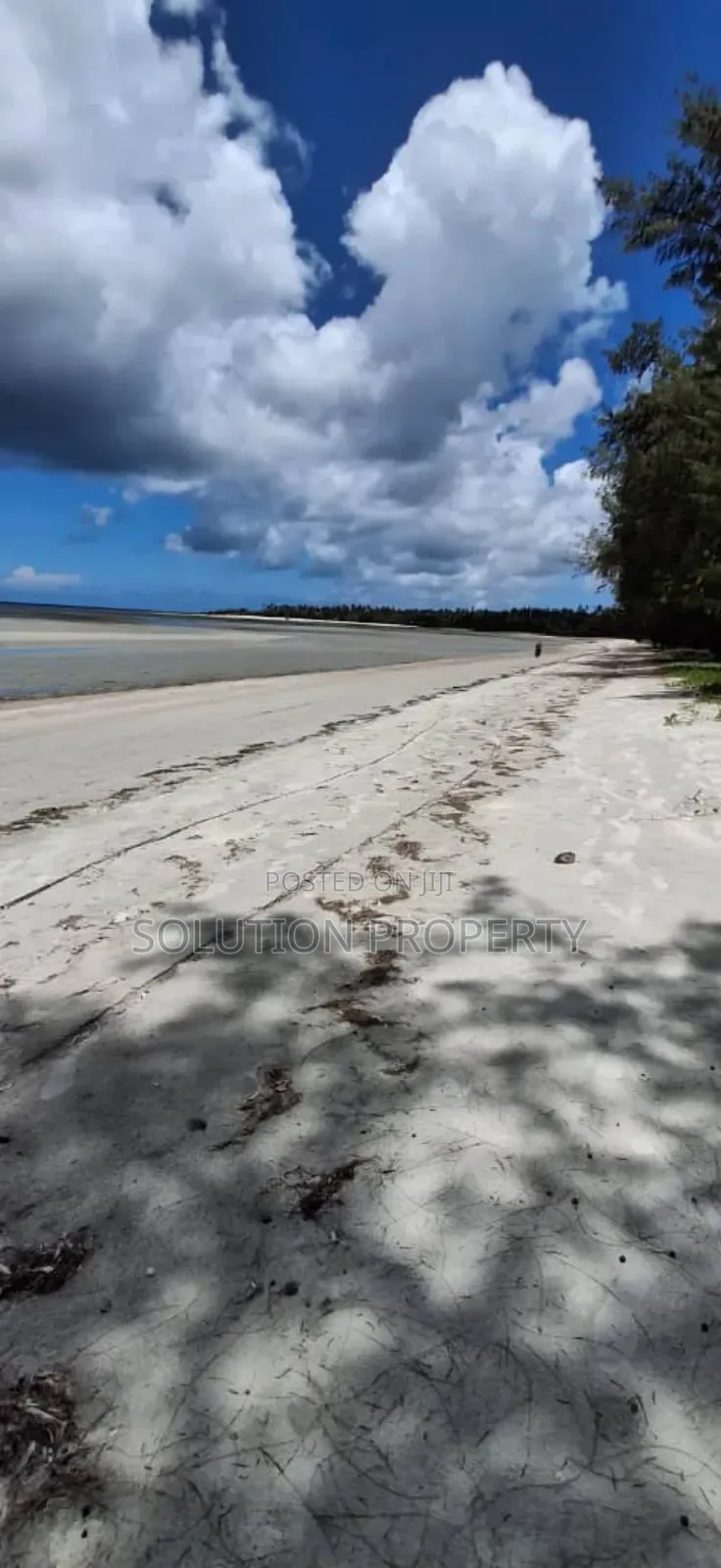 Plot for Sale at Mafia Island