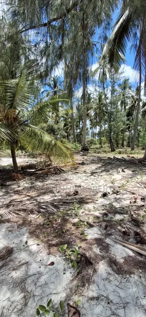 Plot for Sale at Mafia Island