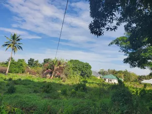 Eneo Leny Ukubwa Wa SQMT 3300 Linauzw Lip Kerege Kwa Kiwete
