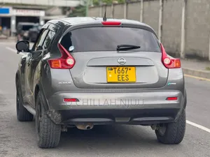 Nissan Juke 2011 Gray