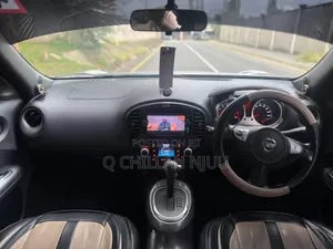 Nissan Juke 2011 Gray