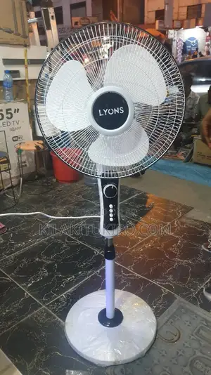 Lyons Standing Fan