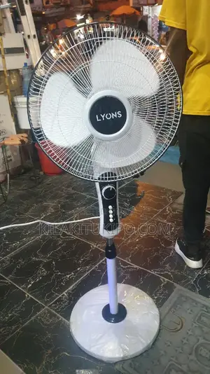 Lyons Standing Fan