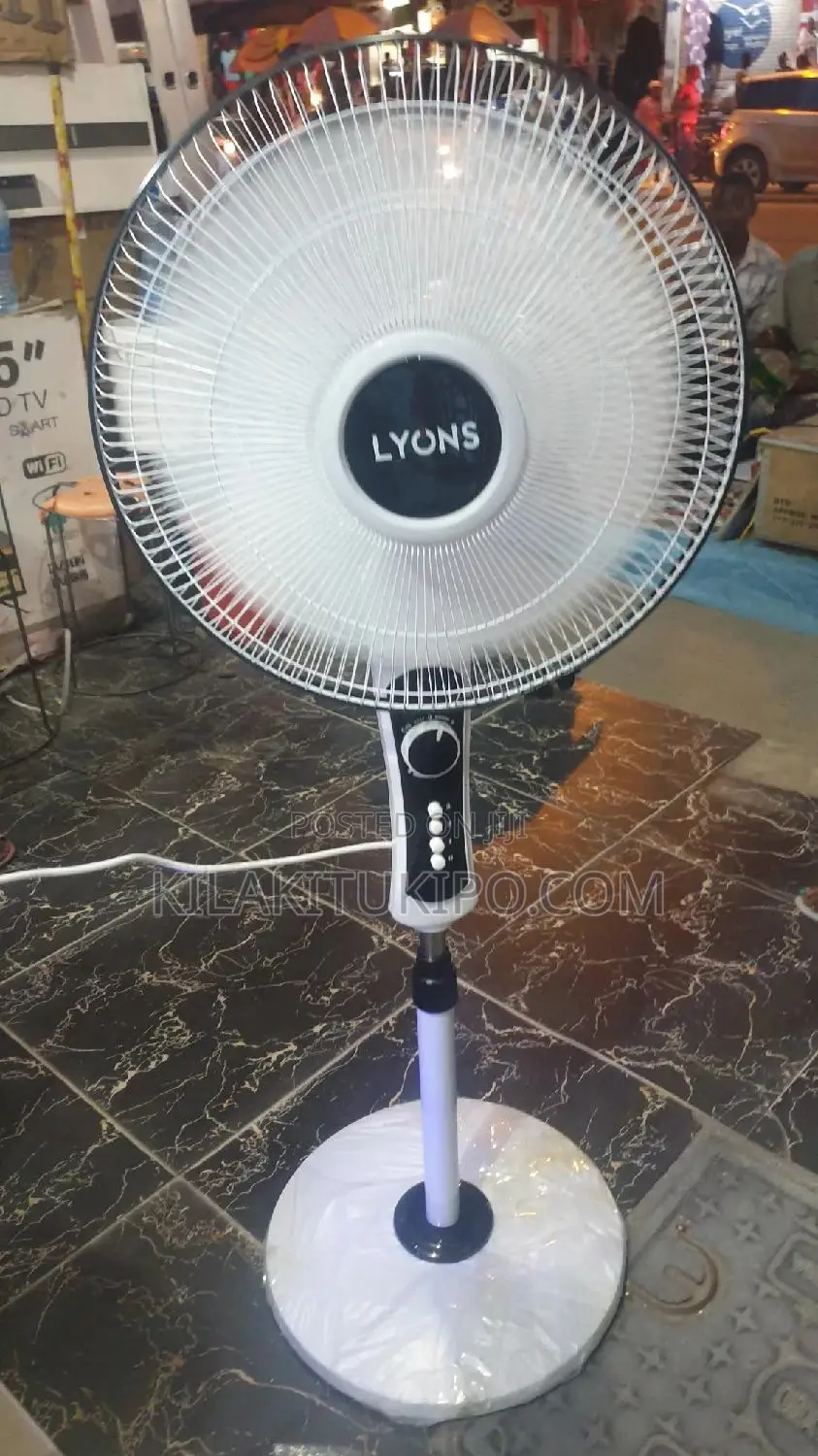 Lyons Standing Fan