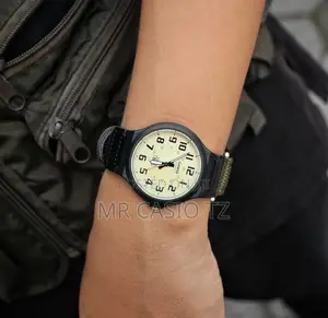 Casio Watch for Men (MW-240B-3BV)