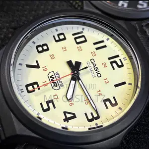 Casio Watch for Men (MW-240B-3BV)