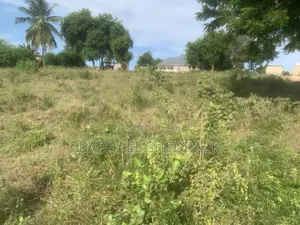 Goba Kinzudi Plot/Kiwanja