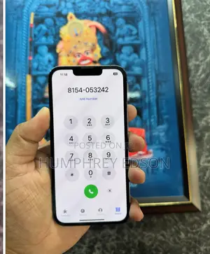 New Apple iPhone 13 Pro Max 256 GB Blue