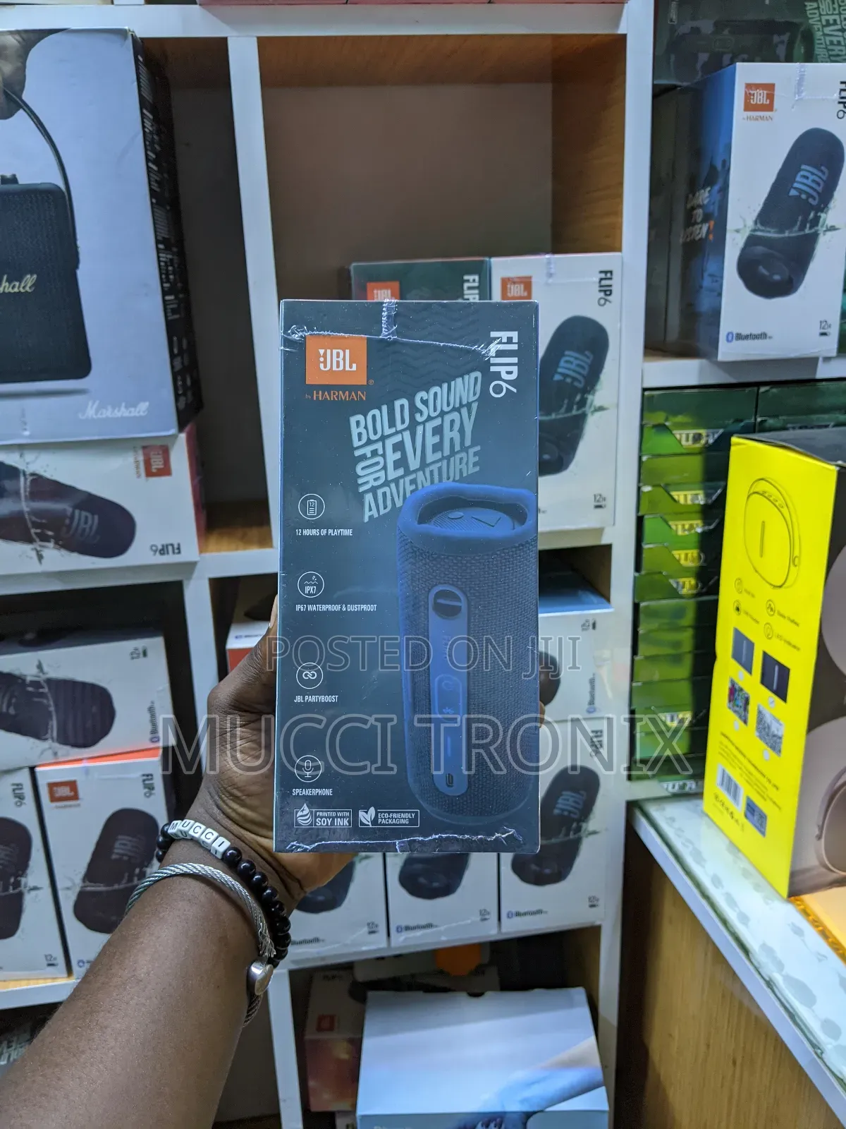 JBL Flip 6