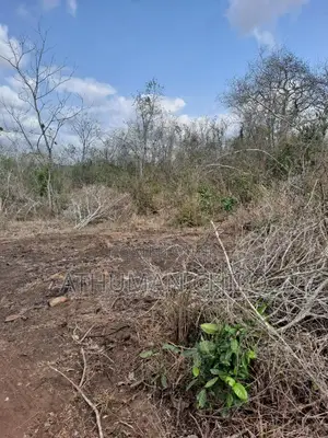 Shamba Linauzwa Kiwangwa Bagamoyo Pwani