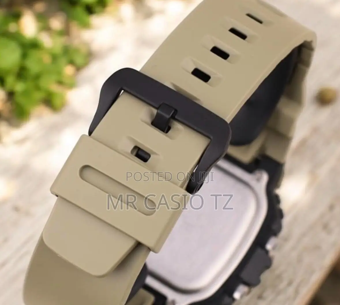 Casio Watch for Men (WS-1700H-5AVDF)