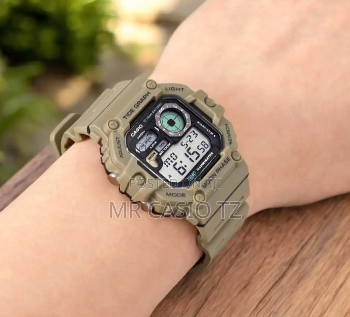 Casio Watch for Men (WS-1700H-5AVDF)