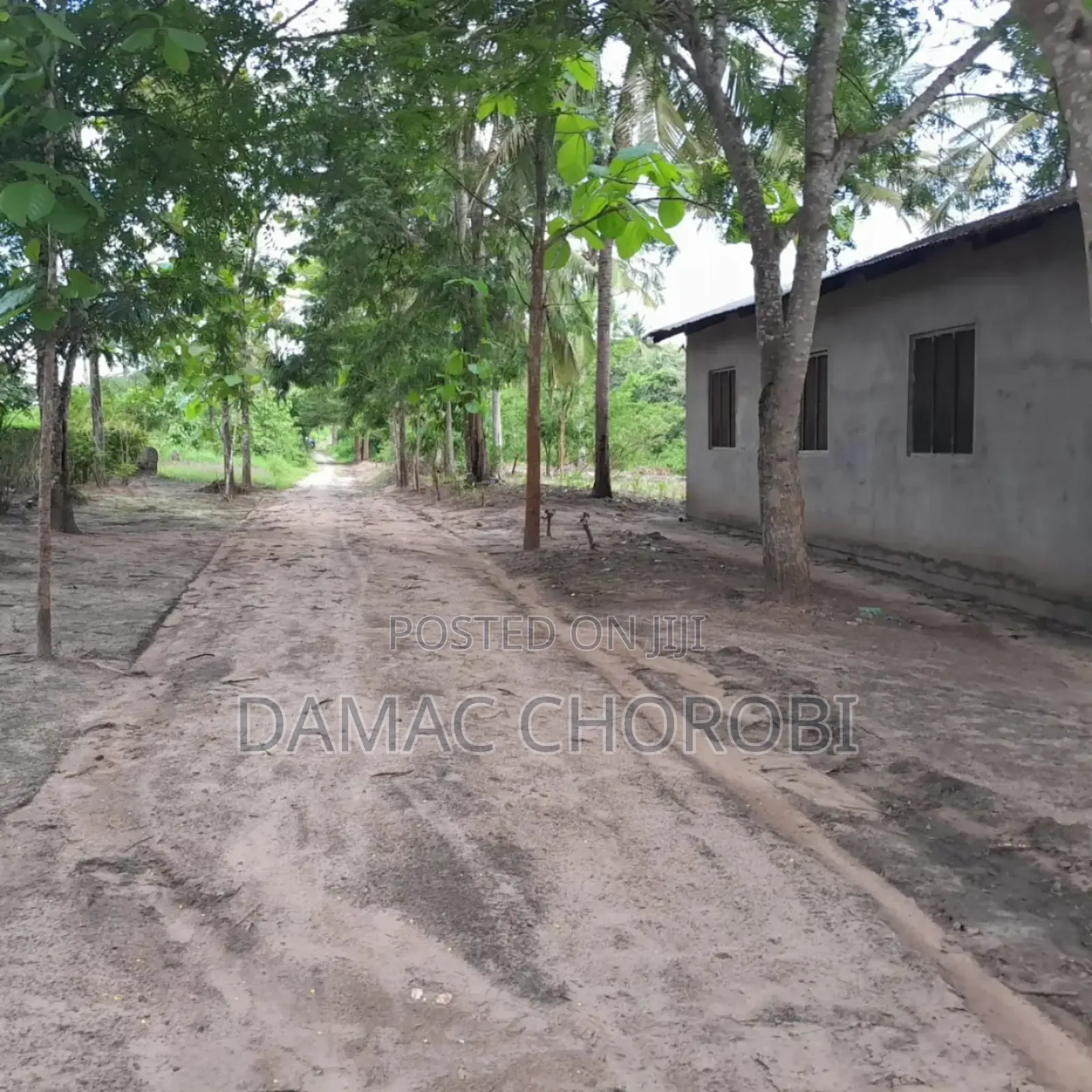 Shamba Linauzwa Madafu Visiga Pwani