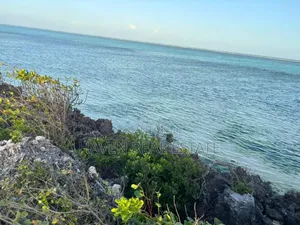 Beach Plot for Sale at Zanzibar