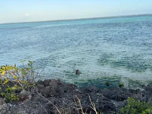 Beach Plot for Sale at Zanzibar