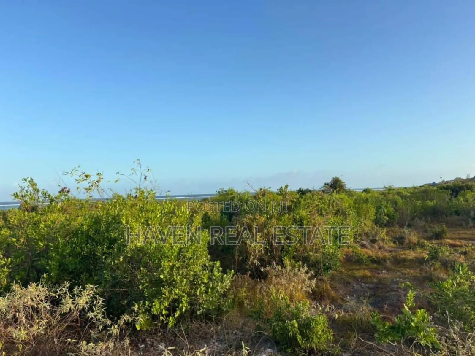 Beach Plot for Sale at Zanzibar
