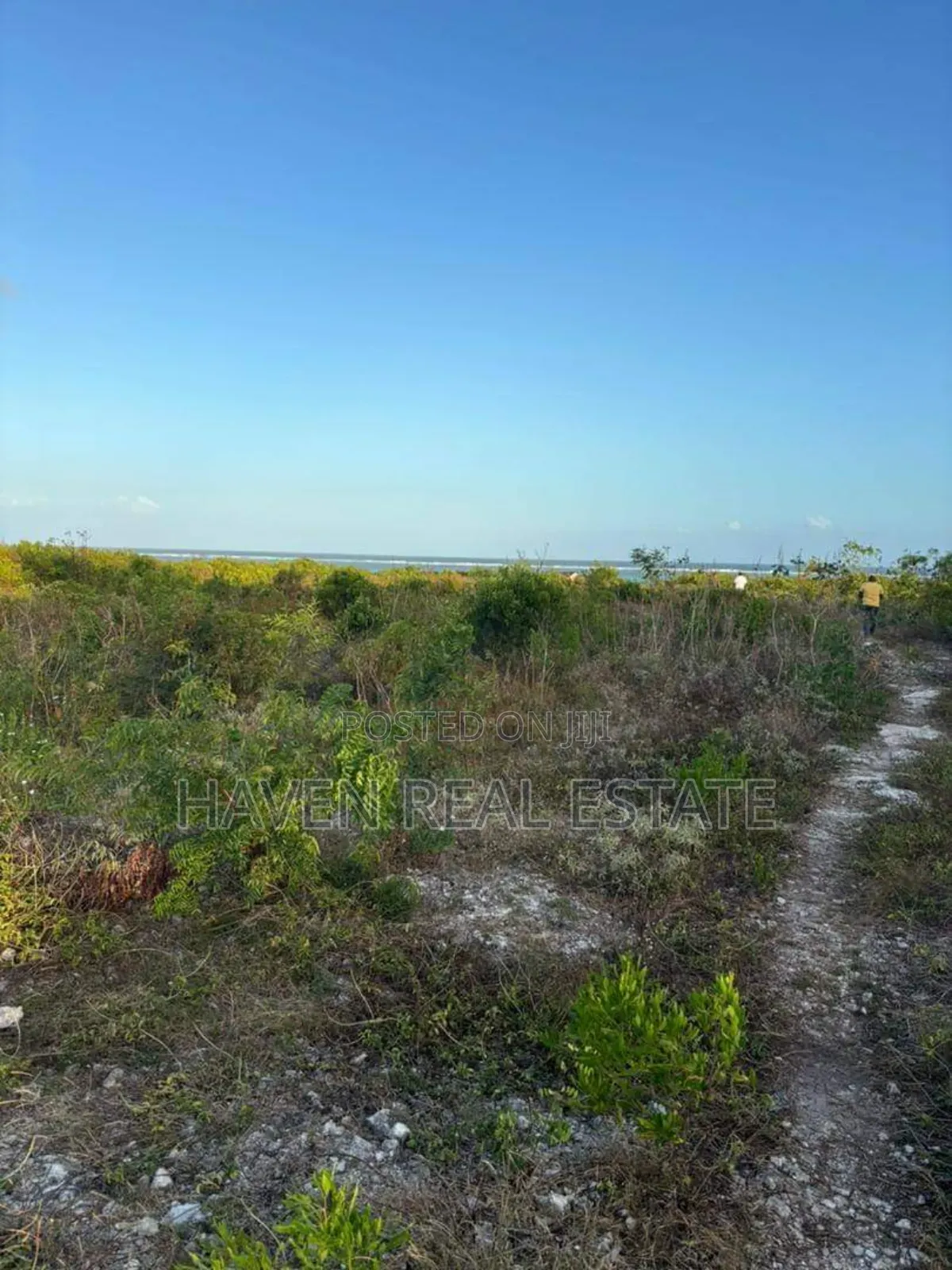 Beach Plot for Sale at Zanzibar