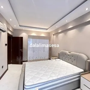 Furnished 3bdrm Apartment in Masaki for rent