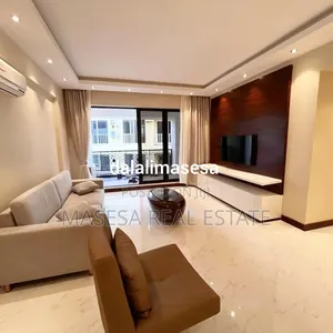 Furnished 3bdrm Apartment in Masaki for rent